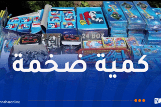 الدرك يحجز قرابة 278 ألف وحدة من المفرقعات!
