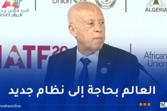 الرئيس التونسي: قارتنا تزخر بكل الثروات ولا بد أن تبني مقاربة جديدة