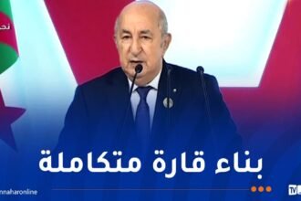 الرئيس تبون: الطريق لا يزال طويلا لتصحيح المضالم التاريخية في حق إفريقيا