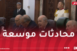 الرئيس تبون يترأس محادثات موسعة مع نظيره الموزمبيقي
