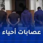 العاصمة.. توقيف 5 أشخاص وحجز مهلوسات وأسلحة بيضاء