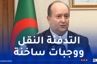 الوزير الأول بالنيابة: يجب استكمال التدابير للدخول المدرسي