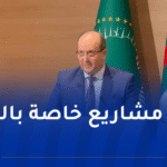 الوزير الأول بالنيابة يُؤكد على أهمية مساهمة الجاليات الإفريقية في تنمية القارة