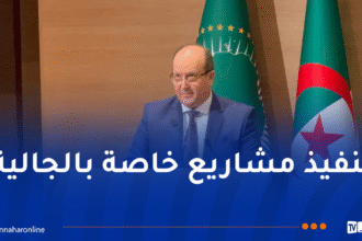 الوزير الأول بالنيابة يُؤكد على أهمية مساهمة الجاليات الإفريقية في تنمية القارة