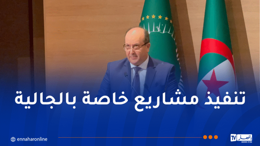 الوزير الأول بالنيابة يُؤكد على أهمية مساهمة الجاليات الإفريقية في تنمية القارة