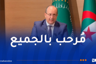الوزير الأول بالنيابة يُرحب بكل الكفاءات للمشاركة في تصنيع السيارات