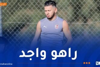 بالصور.. الملالي يلتحق بتدريبات شباب بلوزداد