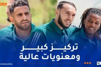 بالصور.. عناصر المنتخب الوطني في جولة استرخائية قبل مواجهة بوتسوانا