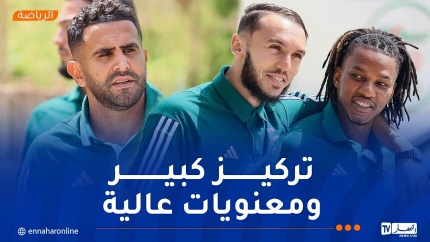 بالصور.. عناصر المنتخب الوطني في جولة استرخائية قبل مواجهة بوتسوانا