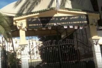برنامج الأسرة المنتجة.. عملية التسجيل بداية من هذا التاريخ و هذا هو الملف المطلوب