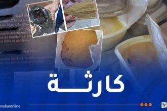 بعضها في حالة تعفن ..محل تجاري يقوم ببيع مواد استهلاكية منتهية الصلاحية  بالبليدة