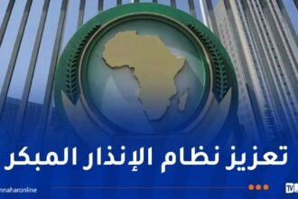 بمبادرة من الجزائر.. مجلس السلم والأمن الإفريقي يُنشئ خارطة قارية للأمن
