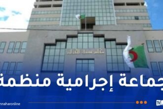 بينهم 17 في حالة فرار.. توقيف 7 متهمين وضبط 113.5 كلغ كوكايين و220 ألف قرص “صاروخ”