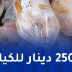 تموين السوق بـ9 طن من اللحوم البيضاء