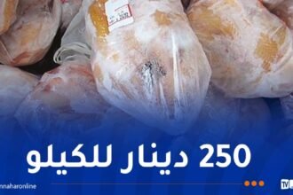 تموين السوق بـ9 طن من اللحوم البيضاء