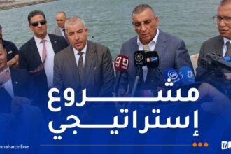جلاوي: تشكيل لجنة عمل ومتابعة لتوسعة ميناء عنابة الفوسفاتي