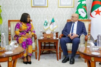 حساني يبحث مع رئيسة المجلس التنفيذي لمركز الحوكمة الإفريقية سبل دعم القضية الفلسطينية