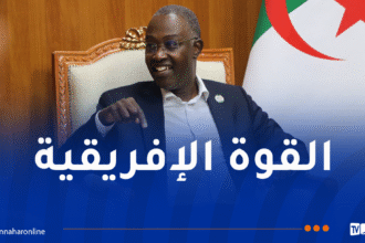 حيداوي: رئيس الجمهورية يركز على الشباب باعتباره الطاقة الأثمن