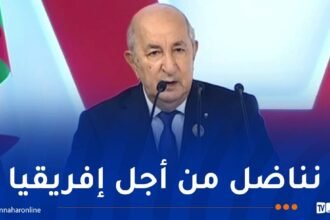 رئيس الجمهورية: الجزائر كوّنت 65 ألف إطار إفريقي بدون ضجة