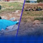 سطيف.. وفاة طفل بصعقة كهربائية وإجلاء امرأة متوفاة في العراء بصالح باي