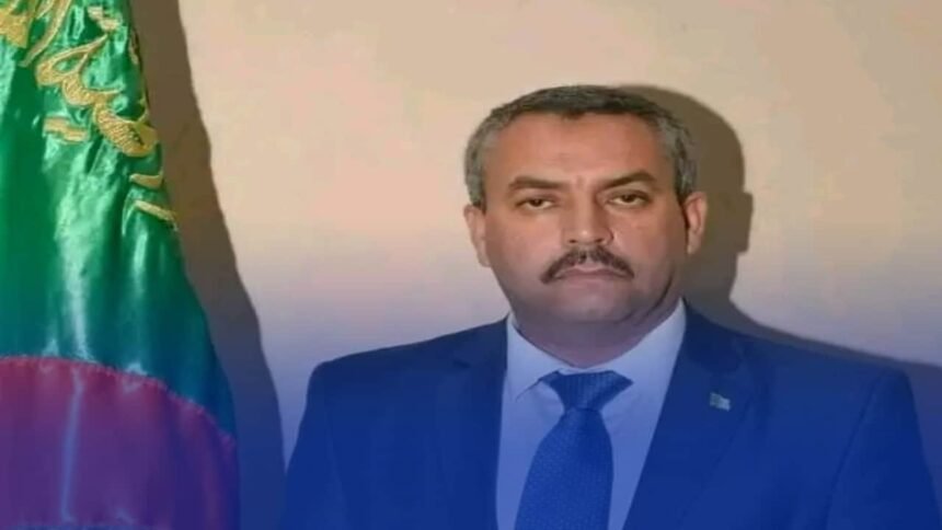 سعداوي: إدماج 82 ألف أستاذ وتوسعة واسعة للهياكل التربوية بمناسبة الدخول المدرسي الجديد