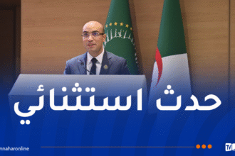 شايب يشيد بنجاح تظاهرة “يوم الجاليات الافريقية”