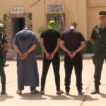 غرداية: تفكيك شبكة مختصة في سرقة المواشي وغلق مذبح غير شرعي
