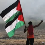 فنلندا تؤكد ضرورة إيجاد حل سلمي للقضية الفلسطينية
