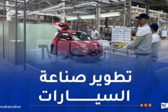 فيات الجزائر.. مصنع وهران يتخطى عتبة 50 ألف مركبة
