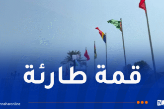 قمة عربية إسلامية طارئة في الدوحة اليوم