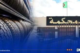محكمة أم البواقي: الحبس المؤقت لشخص بتهمة المضاربة بالعجلات المطاطية للمركبات