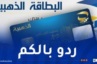 مستعملو البطاقة الذهبية وتطبيق “بريدي موب”..هذه طريقة التصدي لمحاولات النصب