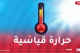 موجة حر.. درجات حرارة تصل 41° بداية من اليوم