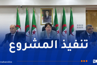 هذا جديد مشروع منجم الزنك والرصاص ببجاية
