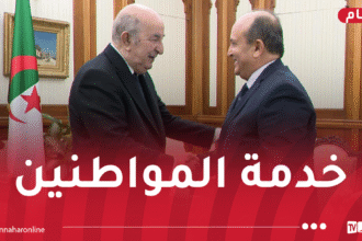 هذا ما قاله سيفي غريب بعد ترسيمه وزيرا أول