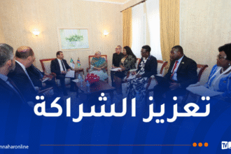 وزير الطاقة يتحادث مع نائبة رئيسة جمهورية ناميبيا