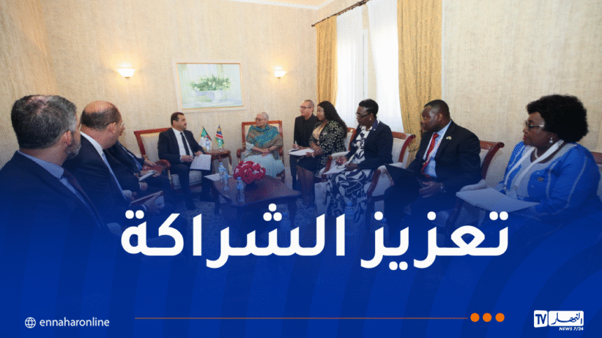 وزير الطاقة يتحادث مع نائبة رئيسة جمهورية ناميبيا
