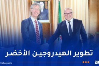 ياسع يبحث سبل التعاون الطاقوي مع ممثل المعهد الألماني للقياس