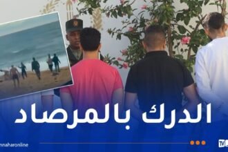 العاصمة.. تفكيك عصابتَي أحياء عقب شجار بالأسلحة البيضاء في شاطئ “ديكا بلاج”