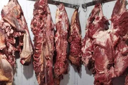  المدية: حجز أزيد من 980 قنطارًا من اللحوم المستوردة غير الصالحة للاستهلاك البشري 