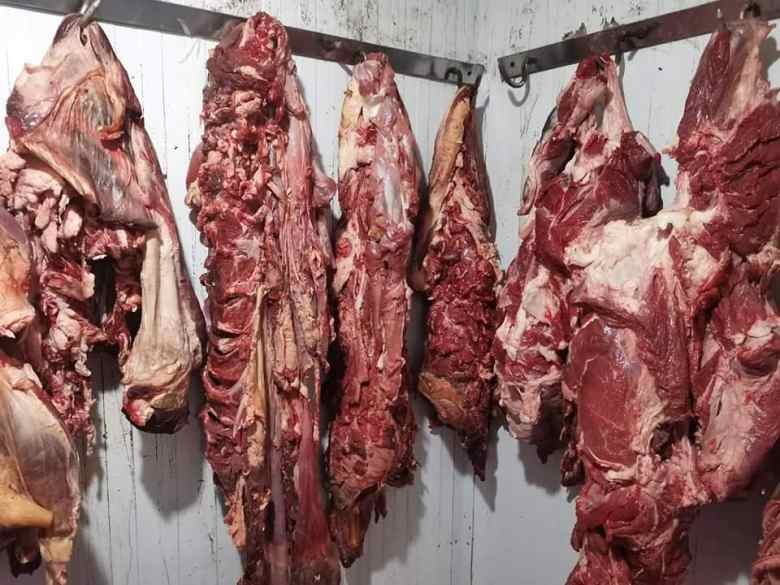 المدية: حجز أزيد من 980 قنطارًا من اللحوم المستوردة غير الصالحة للاستهلاك البشري