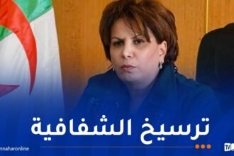 وزيرة الثقافة تشدّد على وضع إجراءات دقيقة لتقييم المهرجانات قبل وبعد تنظيمها